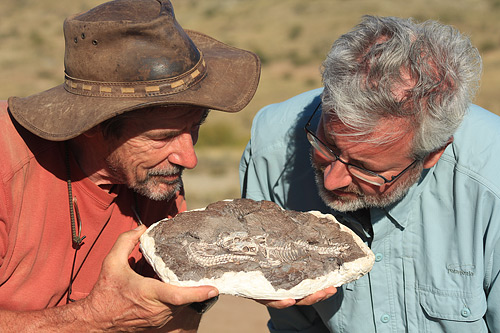 Neil Shubin and Roger Smith with two Thrinaxodon fossil. (Courtesy of Tangled Bank Studios, LLC)