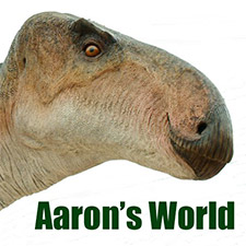 Aaron's World logo