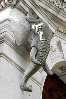 Knight's African Elephant head at the Bronx Zoo's Elephant House (copyrght Richard Milner)