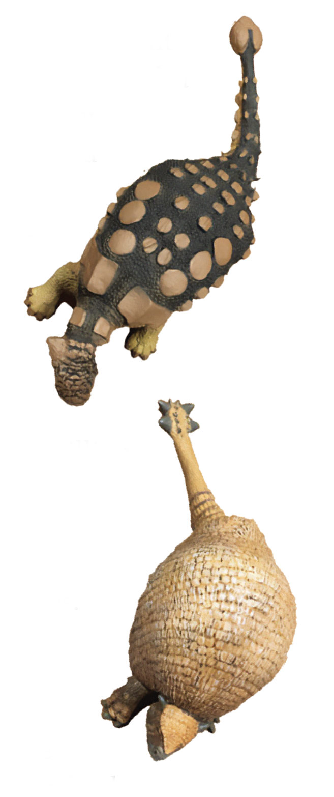 Ankylosaurus (top) and Glyptodon (bottom)