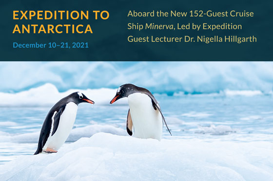 Expedition to Antarctica