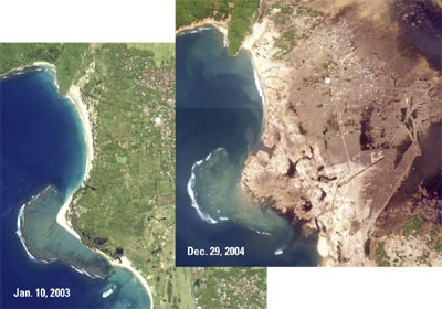 Before and after satellite images of northern Sumatra around Banda Aceh. The areas that were once green turned brown after the tsunami washed the forests and cities away, and killed all the plants with salt water.