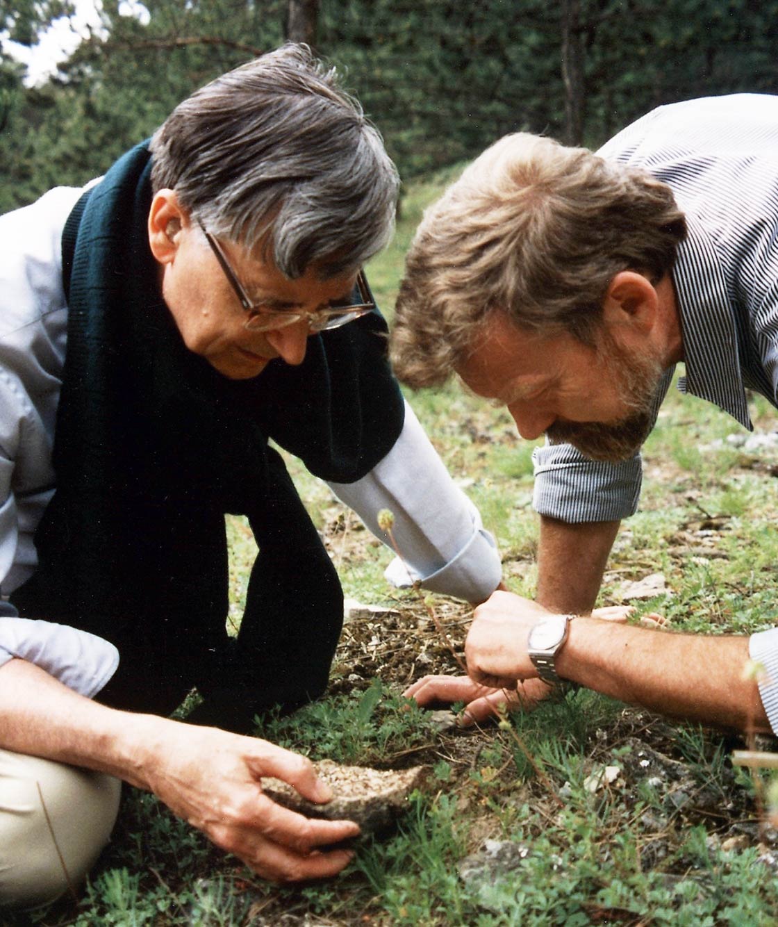 Edward O. Wilson (left) and Bert Holldobler (right) in 1993