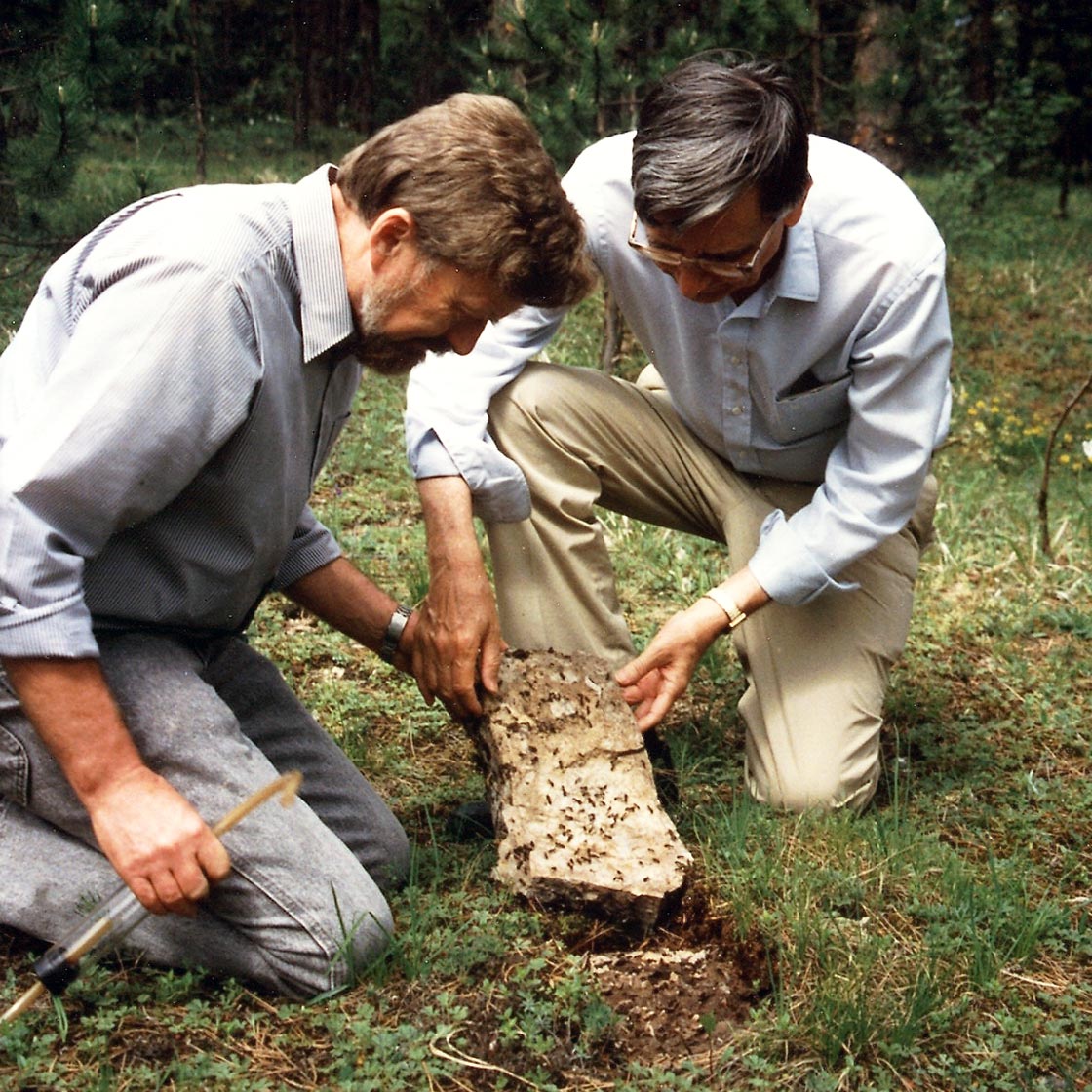 Bert Holldobler (left) and Edward O. Wilson (right)