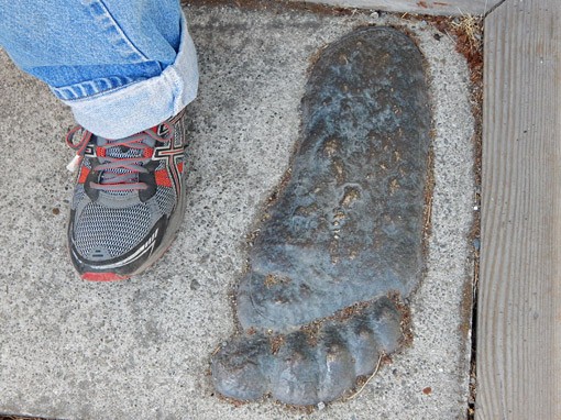 human foot beside supposed bigfoot track