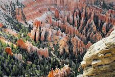 Bryce Canyon (photo by Gingi Yee)