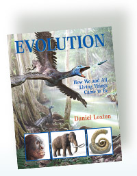 Evolution (book cover)