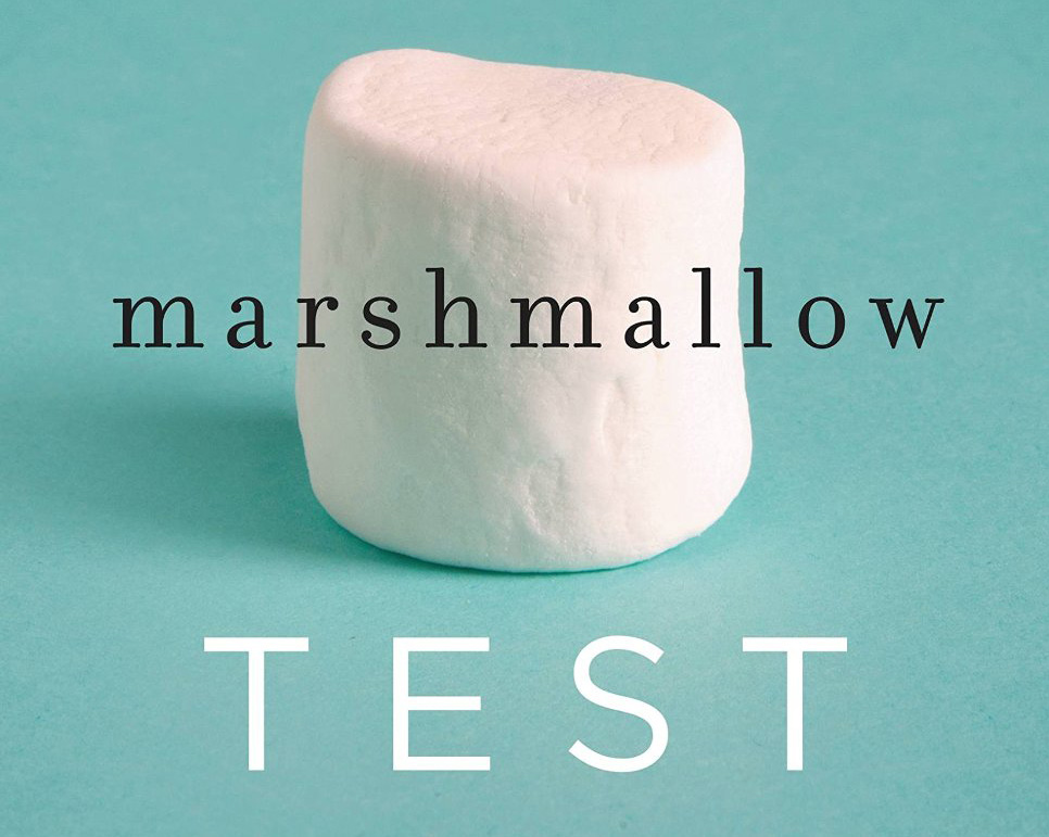 Marshmallow-Test-cover-detail