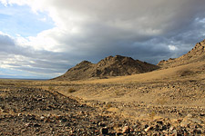 Mojave Desert by David Patton