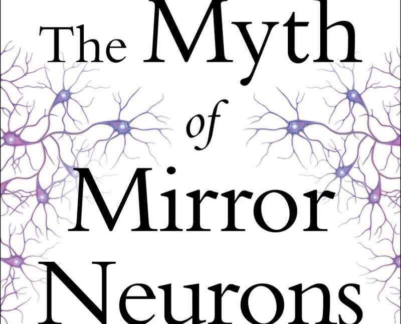 The Myth of Mirror Neurons: The Real Neuroscience of Communication and Cognition (detail of book cover)