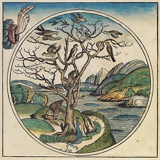 This is a part of a scan of an historical document: Title: Schedelsche Weltchronik or Nuremberg Chronicle. Date: 1493. Author: Hartmann Schedel. (This image is in the public domain because its copyright has expired.)