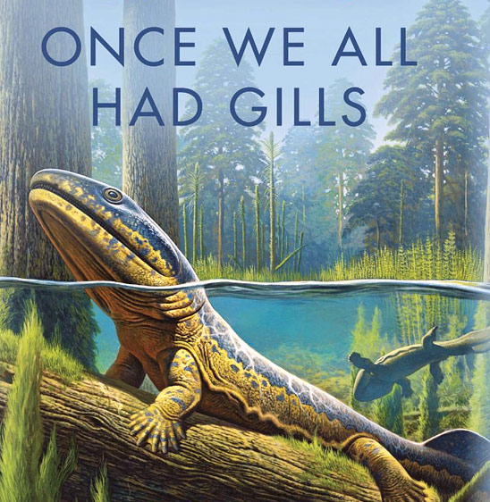 Once We All Had Gills: Growing Up Evolutionist in an Evolving World (detail of cover)