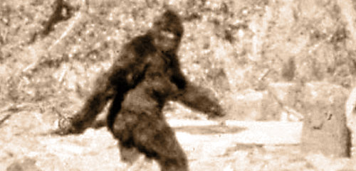 Patterson's Bigfoot photo... or is it just a guy in an ape suit?