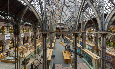 Pitt Rivers Museum Interior, Oxford, England, by Diliff (own work) [CC BY-SA 3.0 (http://creativecommons.org/licenses/by-sa/3.0) or GFDL (http://www.gnu.org/copyleft/fdl.html)], via Wikimedia Commons