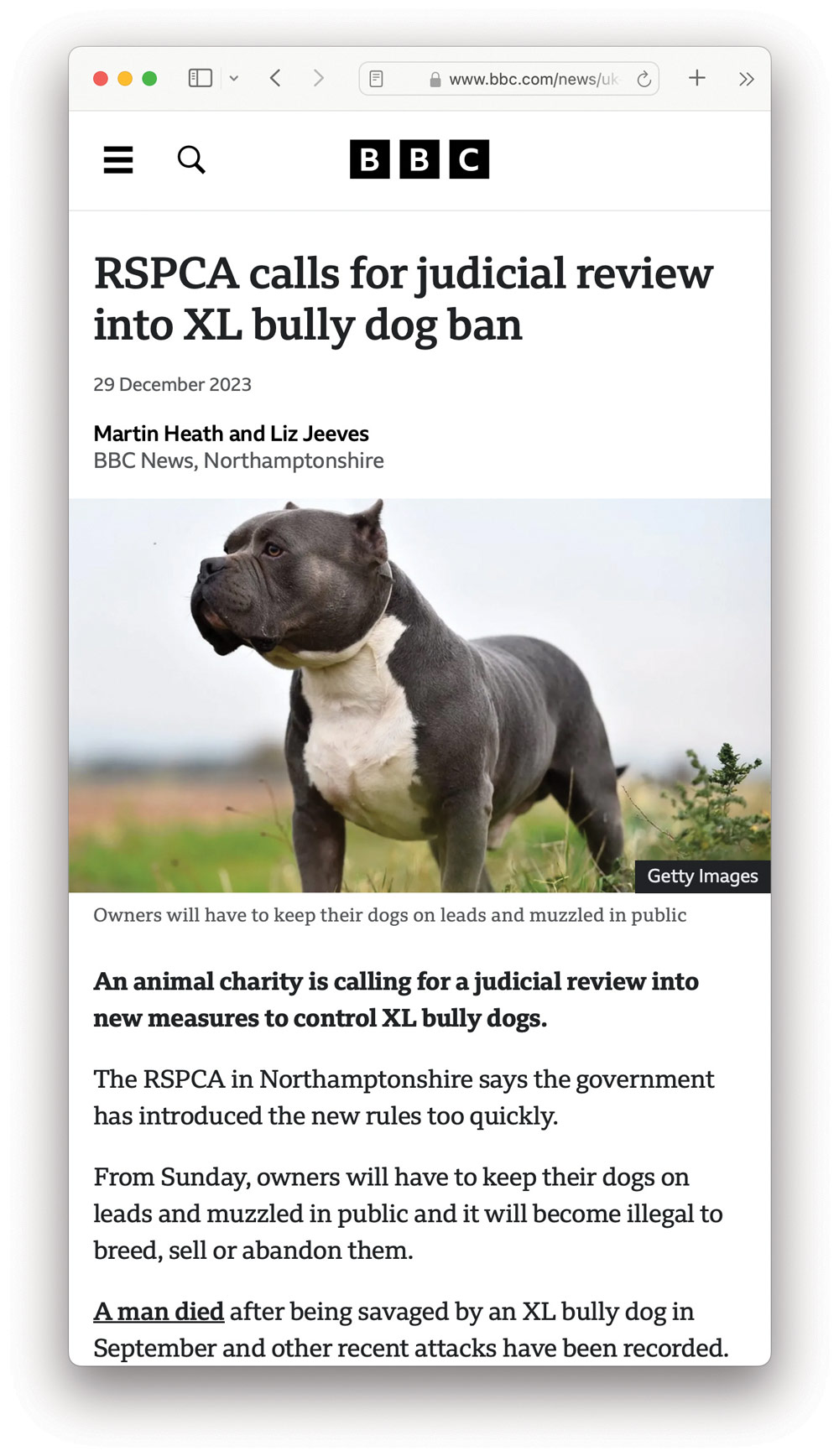 RSPCA calls for judicial review into XL bully dog ban