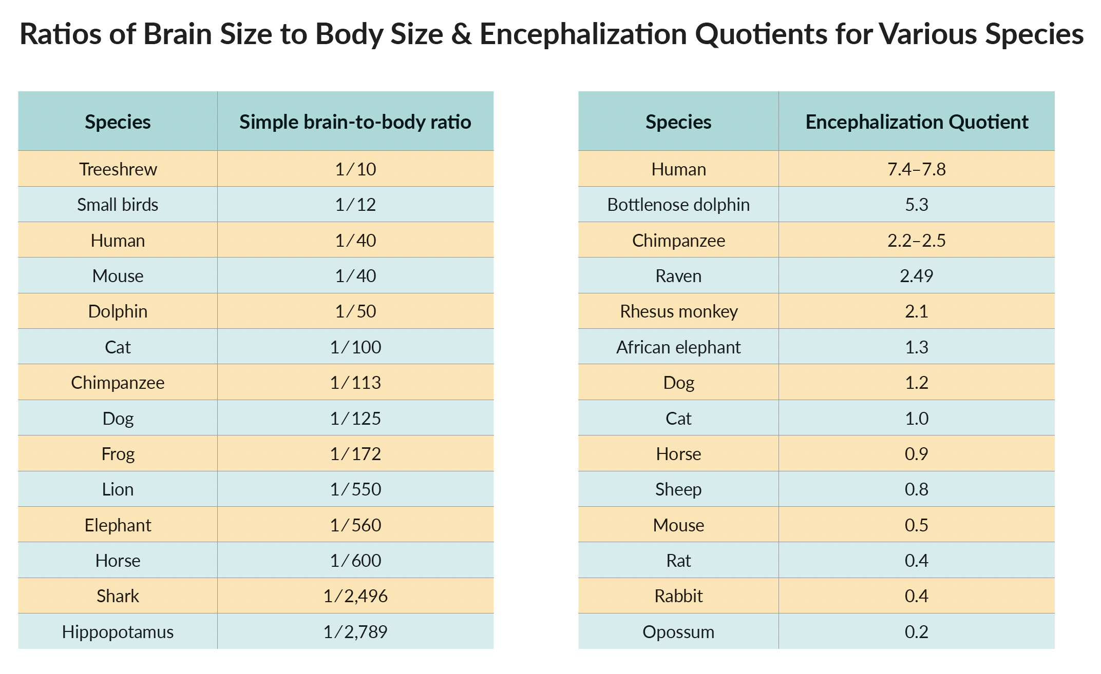 Ratios of Brain Size to Body Size & Encephalization Quotients for Various SpPecies