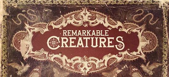 Remarkable Creatures