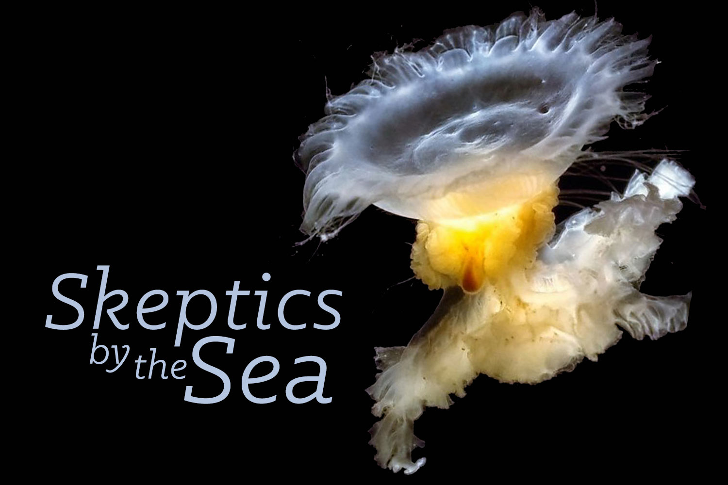 Join us October 11, 2015 for Skeptics by the Sea: Sea lions, dolphins, and whales! Oh my!