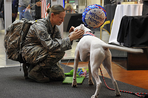 A richly detailed story-telling photograph. AI image recognition programs have difficulty interpreting it beyond recognizing that it contains a dog. (Credit: U.S. Air Force photo by Airman 1st Class Erica Crossen)