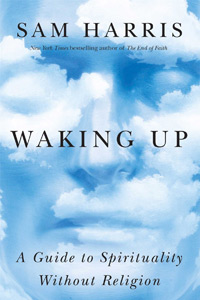 Waking-up-cover-detail