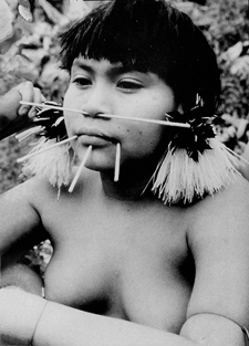 Anthropologist Kenneth Good studied the dietary habits of the Yanomamo.