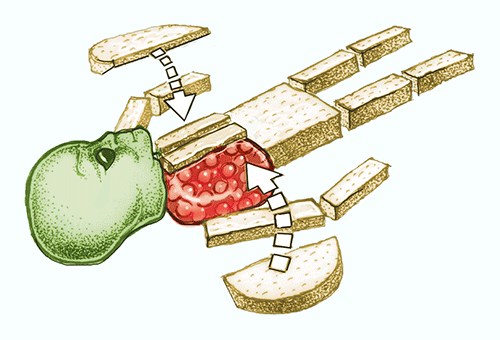 alien cake diagram