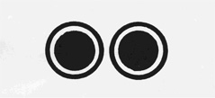 FIGURE 3: Dual “pupil” schematic which receives the most attention from newborn infants (after Hess, 1975).