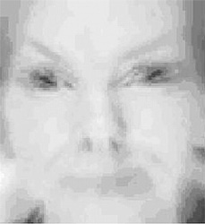 FIGURE 6: A mother’s face as it might be seen by a newborn (processed to represent a contrast sensitivity of 3 cycles degrees when viewed at a visual angle of 50°, with simulated radial astigmatism and an extremely shallow (1 cm) depth of focus.