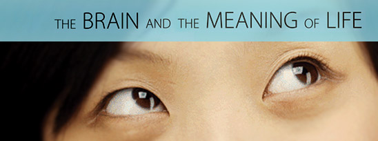 recomposited from details of the book cover for The Brain and the Meaning of Life