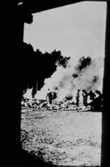 Photo of SS Gaurds burning bodies at a crematoria.