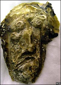 Oyster shell resembling the face of Jesus.