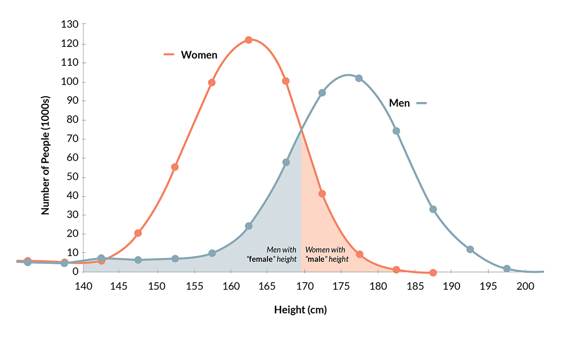 Male and Female Height Differences