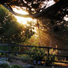 photo copyright 2012 Esalen Institute