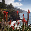 photo copyright 2012 Esalen Institute