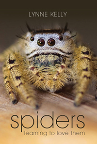 spider-cover