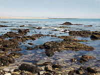 tide pools