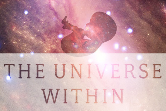 The Universe Within (modified book cover detail comp)