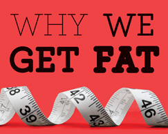 Why We Get Fat (comp from cover)