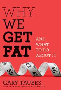 Why We Get Fat (cover)